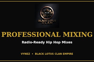 mix your hip hop song with a professional radio ready mix