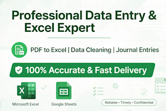 do accurate data entry, excel reports, journal entries and ms word report