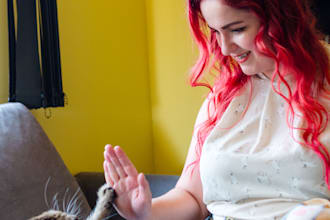 give you quick cat behavior advise