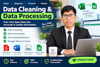 do excel data cleaning formatting invoice creation