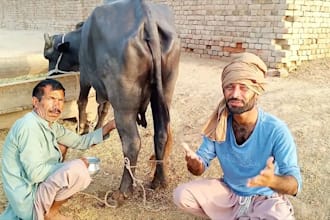 wish happy birthday video