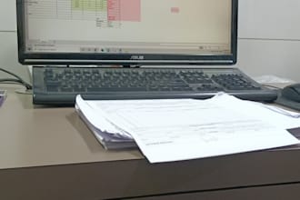 do professional data entry excel and copy paste work