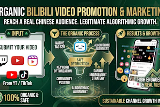 do bilibili video promotion and marketing for an organic audience