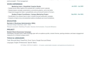 write a professional resume and CV for job applications