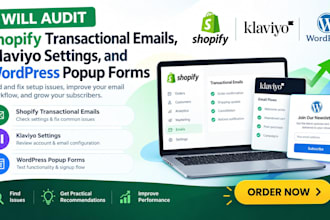 audit shopify store transactional email settings klaviyo wordpres popup form