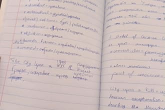 provide professional literary translation
