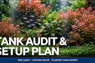 review your fish tank setup by video and give you equipment and stocking plan