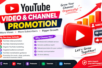 promote youtube videos to increase organic views and reach