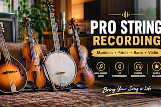 record mandolin, fiddle, banjo or violin for your song