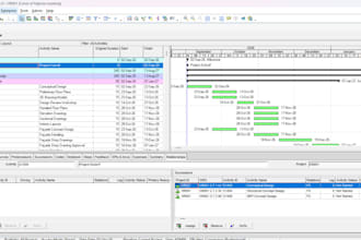project planning and cost controlling with primavera p6