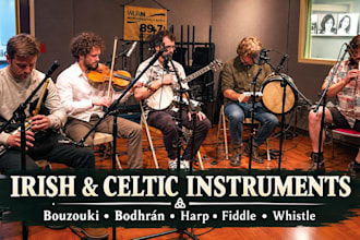 record irish tenor banjo, fiddle, flute and bodhran for your song