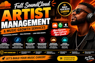 provide full soundcloud artist management and promotion