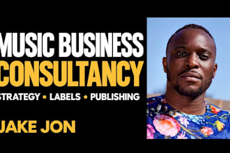 guide your music business record label and publishing strategy
