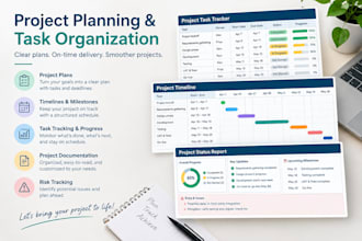 organize your project plan and tasks