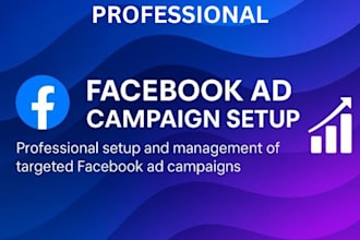 set up facebook and instagram lead generation ads