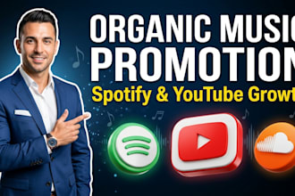 do organic spotify promotion youtube promotion and music marketing