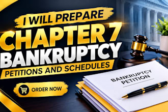 prepare chapter 7 bankruptcy petitions and schedules