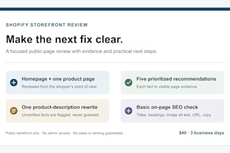 audit your shopify homepage and one product page