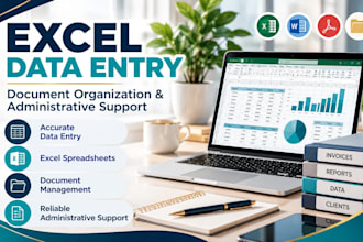 do excel data entry and organize documents