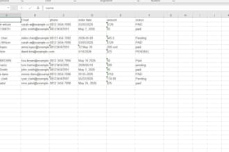 data entry, excel spreadsheet cleanup and document formating
