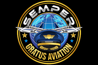 create high quality graceful aviation logo