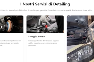 design and develop a responsive wordpress or shopify website