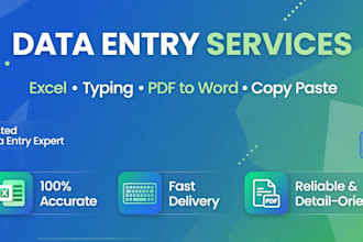 do  accurate data entry, excel work and google sheets work