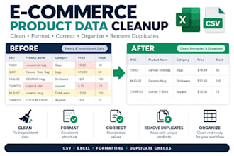 clean and format ecommerce product data