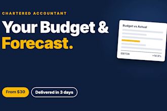 prepare a budget, rolling forecast and variance analysis for your business