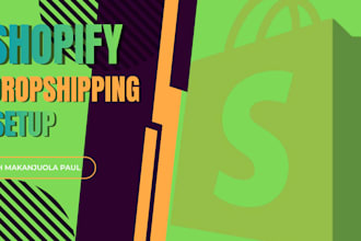 design shopify dropshipping setup