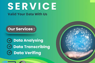 do data entry, data analyzing and data verification