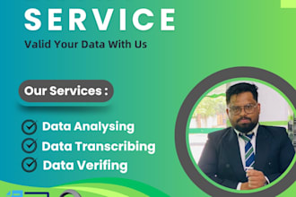 do data entry, data analyzing and data verification