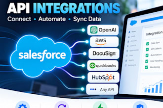 build complex salesforce API integrations and automate data sync