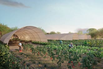 create rural farm landscape design, permaculture layout, community garden render