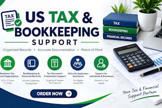 assist with US business tax returns, bookkeeping and 501c3 applications