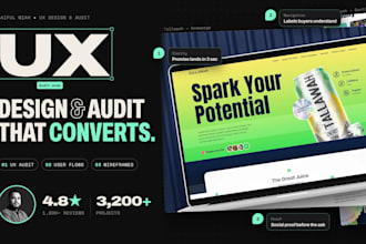 do ux design, ux audit and user experience design for websites web app