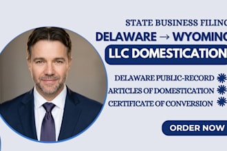 prepare delaware to wyoming llc domestication filings