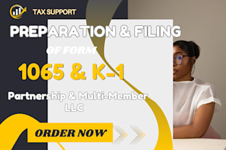 prepare and efile irs form 1065 and schedule k1 for us llc partnership