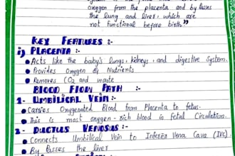 handwrite neat study notes in english and urdu