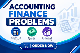 do accounting and finance problems and financial analysis report