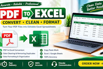 convert PDF to excel, clean data and format spreadsheets