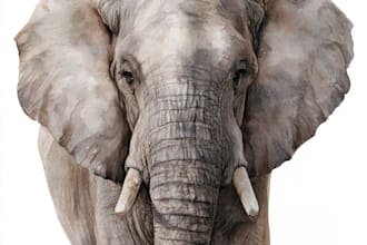 create realistic animal illustration