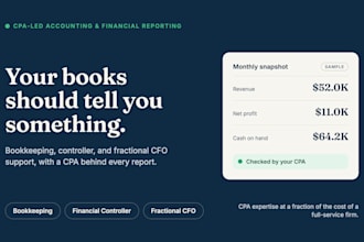 provide CPA reviewed financial reporting and consulting
