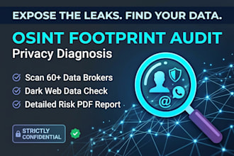 perform a deep osint digital footprint audit and privacy diagnosis