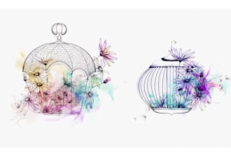 hand draw whimsical and unique custom illustrations