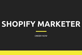 build a shopify website