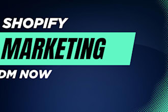 build a  shopify website