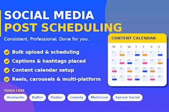 schedule post on hootsuite loomly buffer metricook cutpro