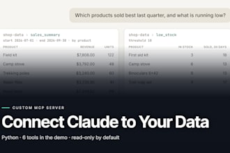 build a custom mcp server that connects claude to your data or API