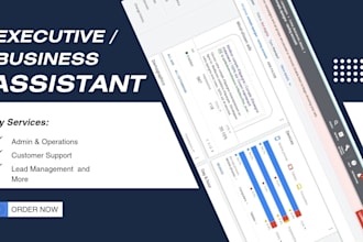 executive and reliable business assistant , admin assistant